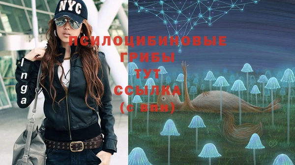 бошки Нязепетровск