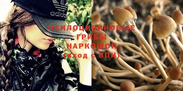 мяу мяу мука Нягань